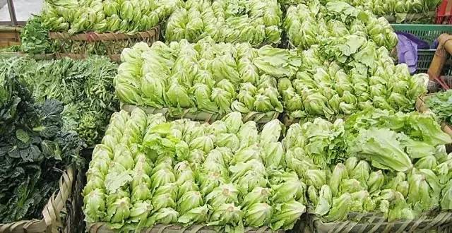 淮海蔬菜批发最新价格揭秘，新鲜出炉的蔬菜价格信息