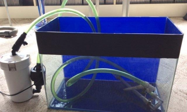 自制鱼缸过滤系统最新指南，高效简洁水质管理方案打造秘籍