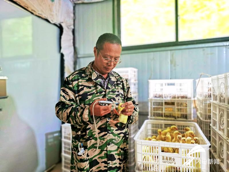 衡水楼房最新价格走势揭秘，小巷深处的意外发现