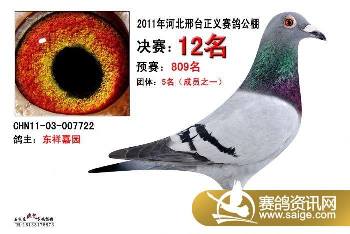 正义公棚最新公告