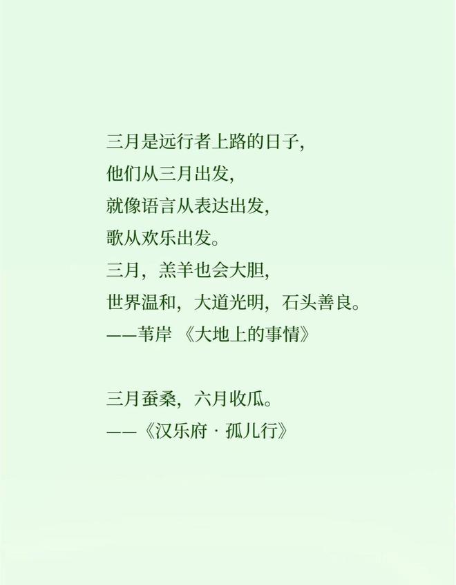 2024年最新句子