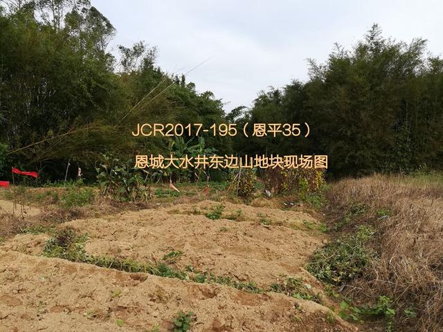 恩平最新地皮出售