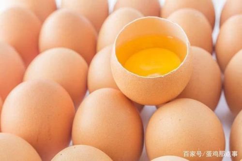 今日北京鸡蛋最新报价