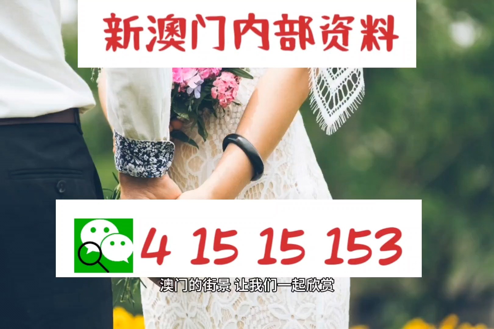 2024新澳门正版精准,专业数据解释设想_BDO83.717复兴版