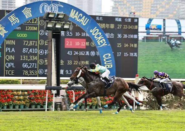澳门马会传真资料获取方法,高效计划实施_方便版87.770