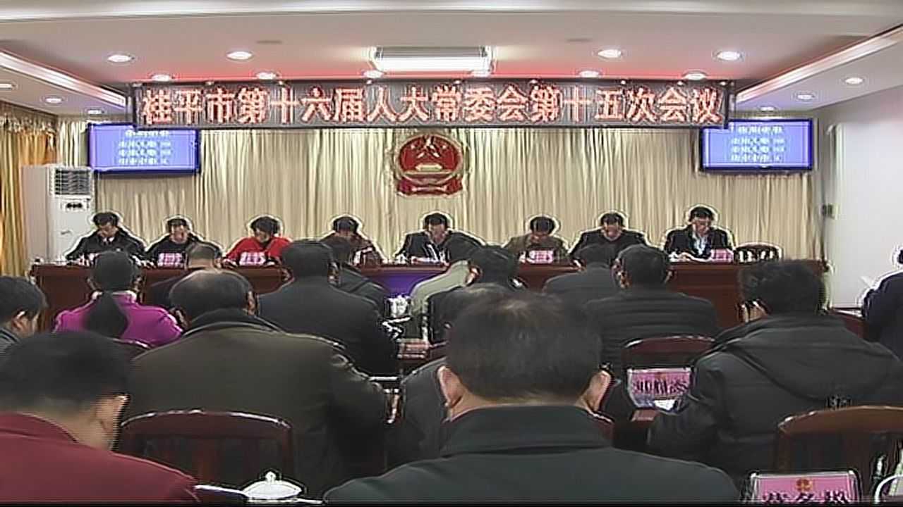 桂平木乐新闻最新消息