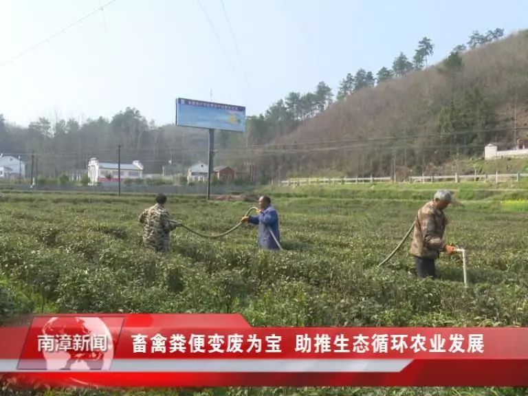 湖北南漳新闻网最新