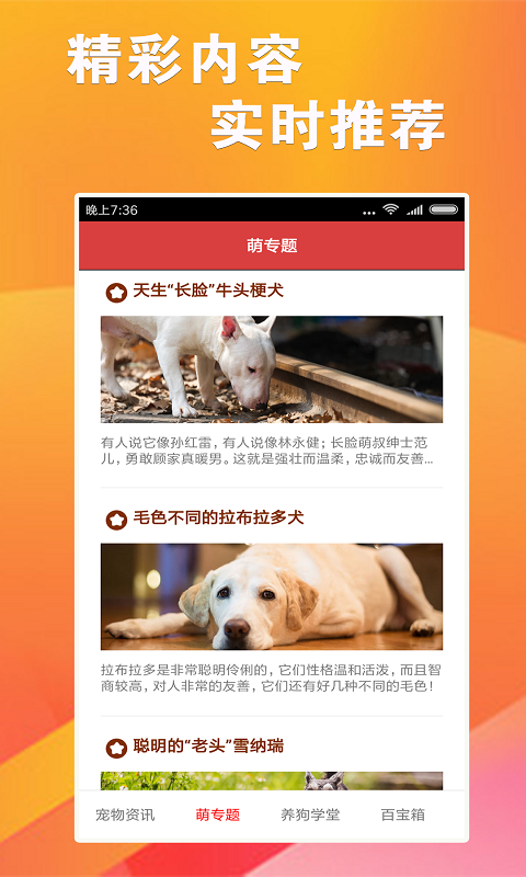 7777788888精准跑狗图,统计信息解析说明_万能版18.104
