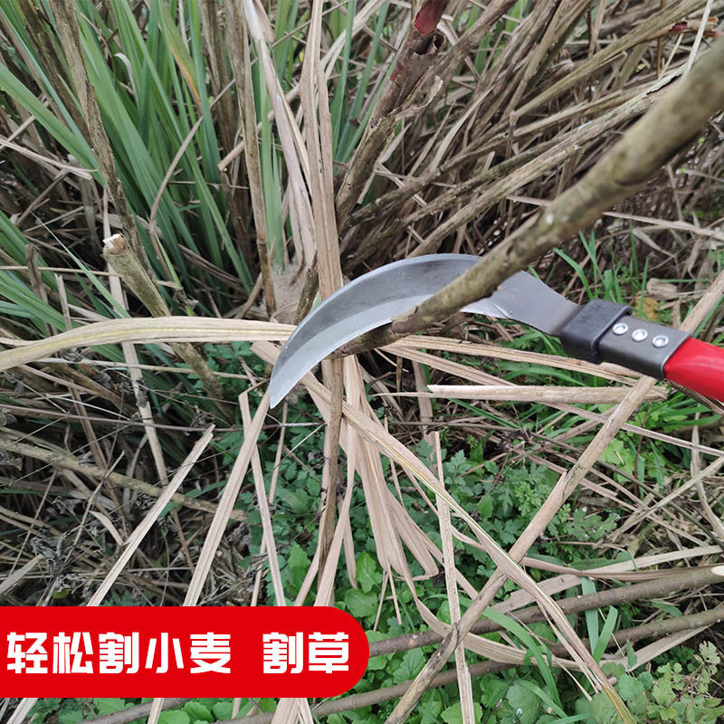 最新除草工具