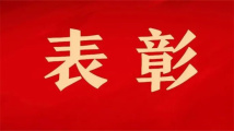 卵蛋图解最新