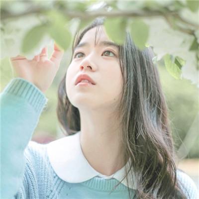 昵称女生最新
