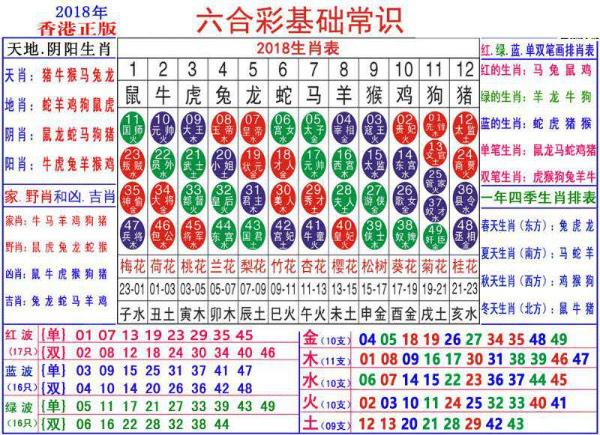 澳门正版资料大全资料生肖卡,实时处理解答计划_生态版83.723
