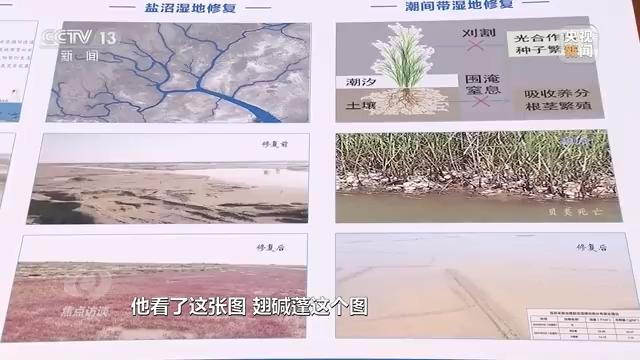 焦点生物最新