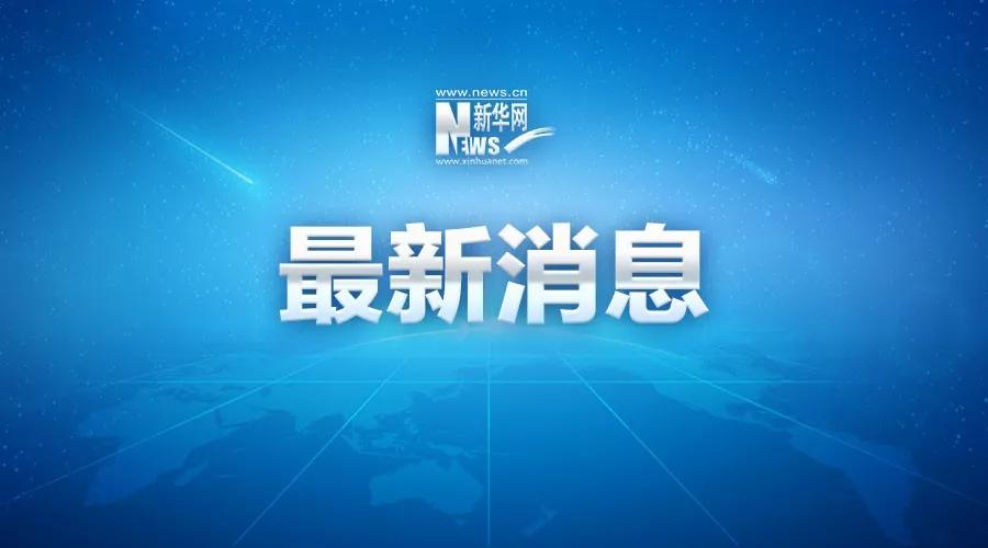 陈蓓最新