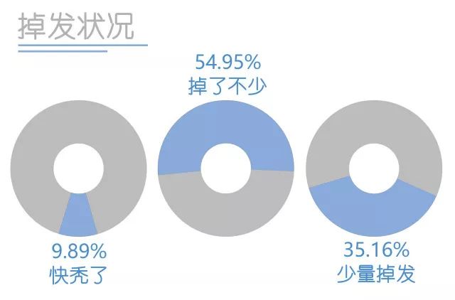 脱发调查最新
