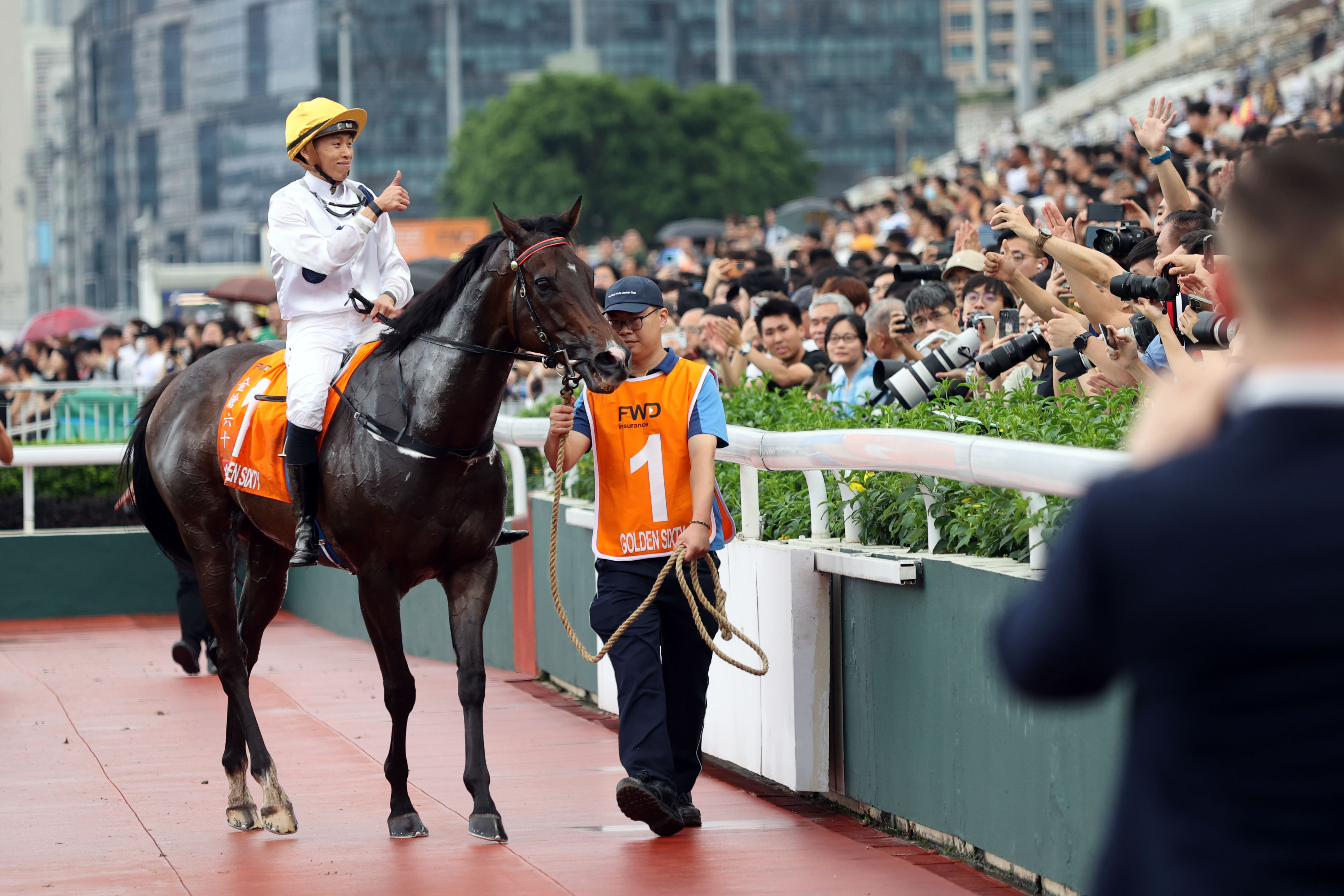 2024香港赛马全年免费资料,专业解读方案实施_模拟版20.423