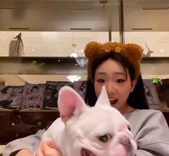 狗磊最新视频