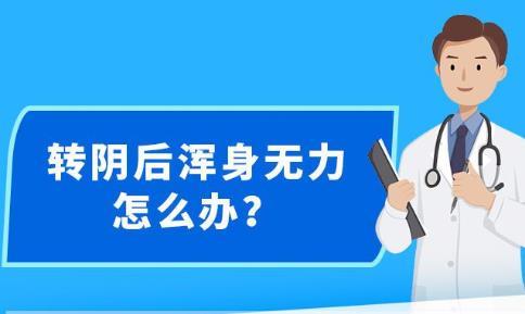 新澳精准资料免费提供网站,数据分析计划_娱乐版86.566