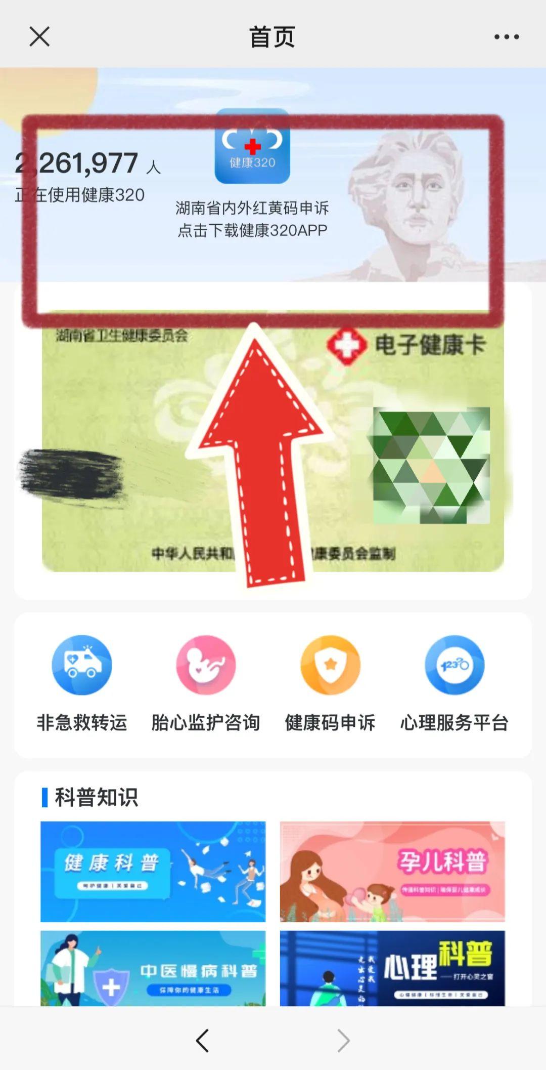 最新解码视频