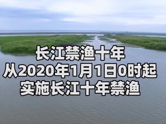 最新长江禁渔消息