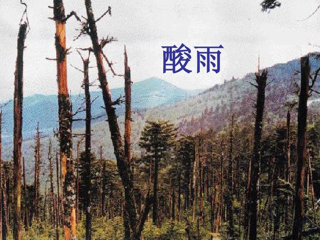 酸雨的最新报道