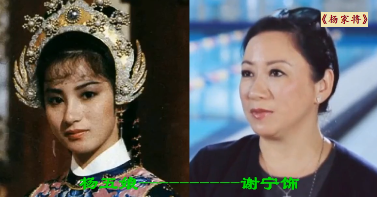 杨家将演员