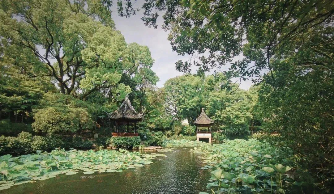 乾隆新版揭晓