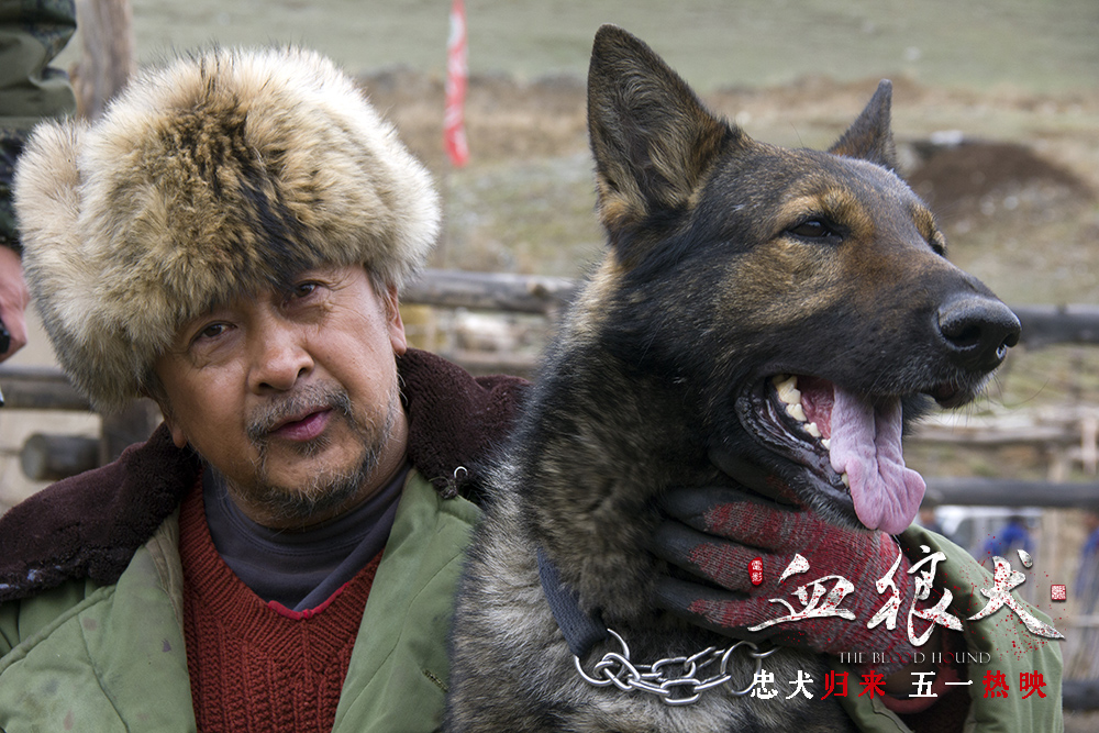 电影血狼犬演员表
