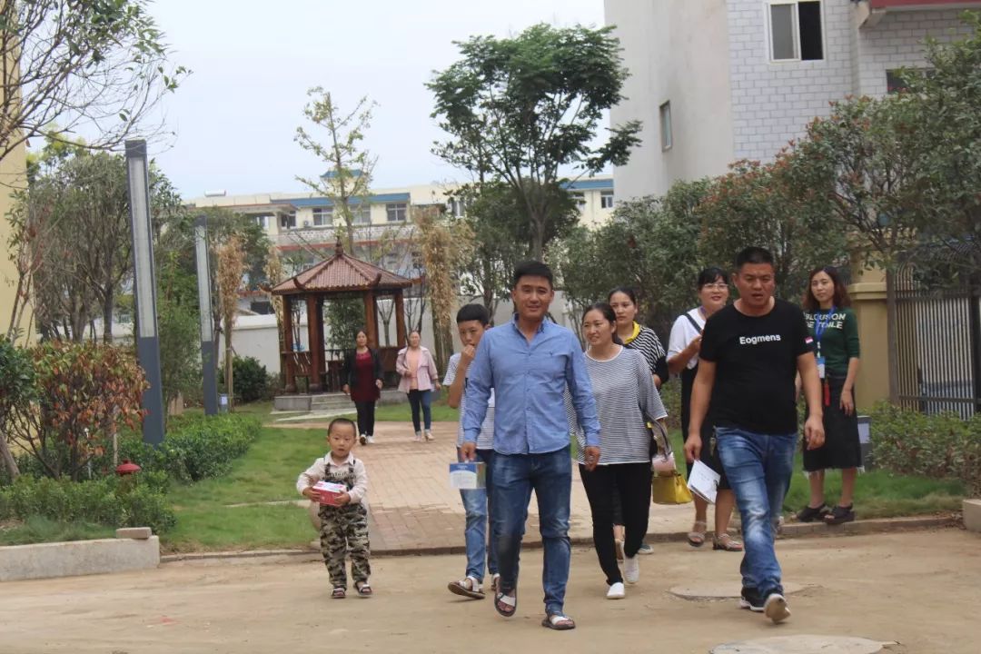 内乡房价最新动态与小巷深处的宝藏，探寻特色小店的独特魅力与魅力所在