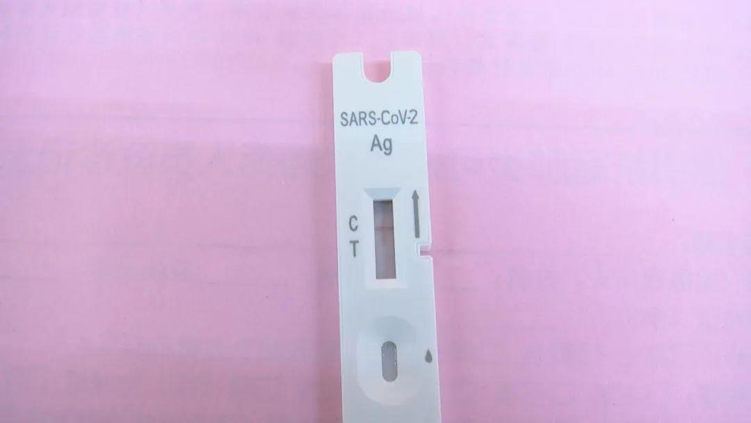新冠病毒最新动态