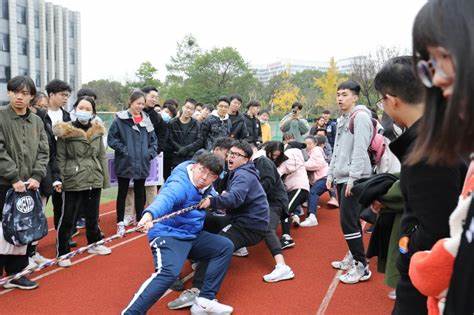 拔河比赛300字作文