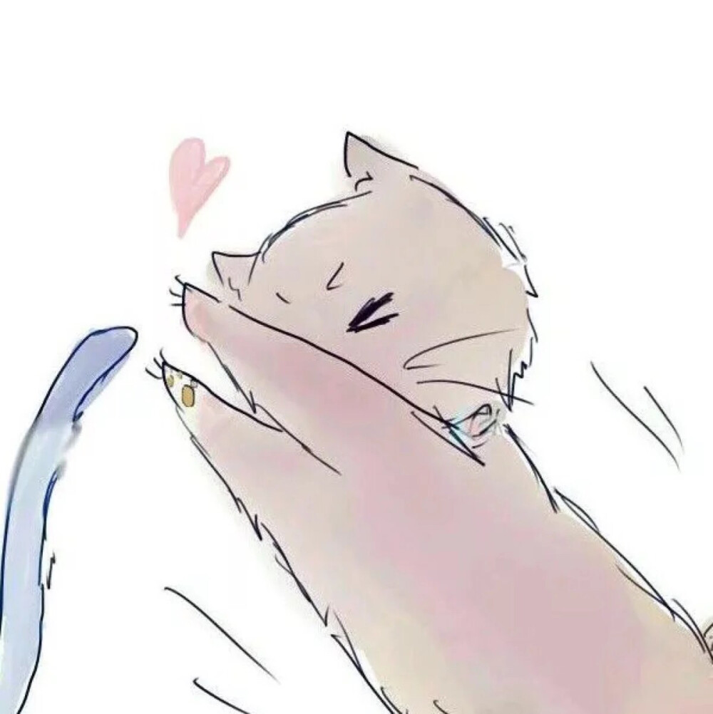 动漫猫情头