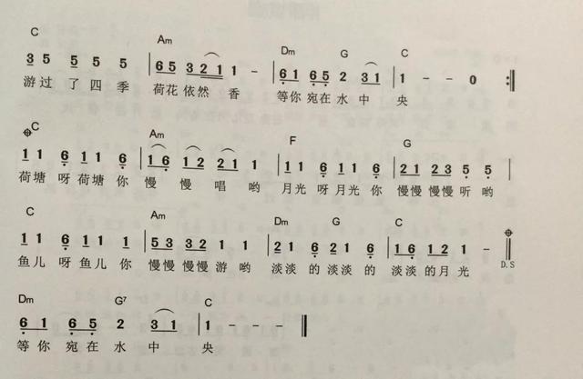 最新简谱资讯