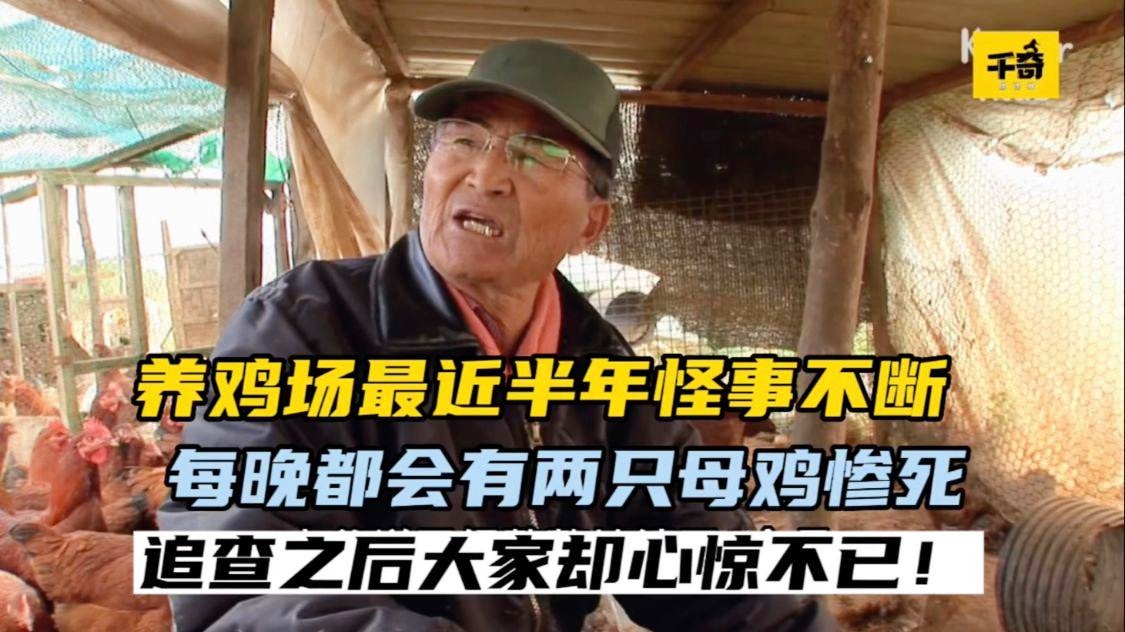 最新奇事