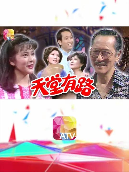丽的电视