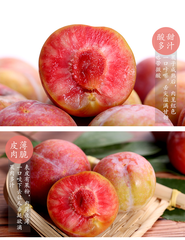 李子行情