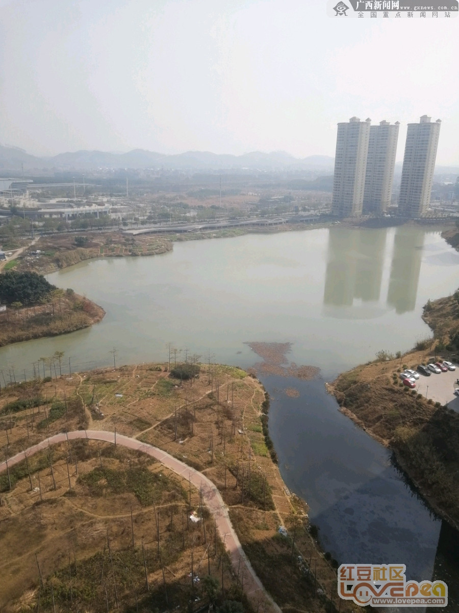 来宾市三江口最新动态
