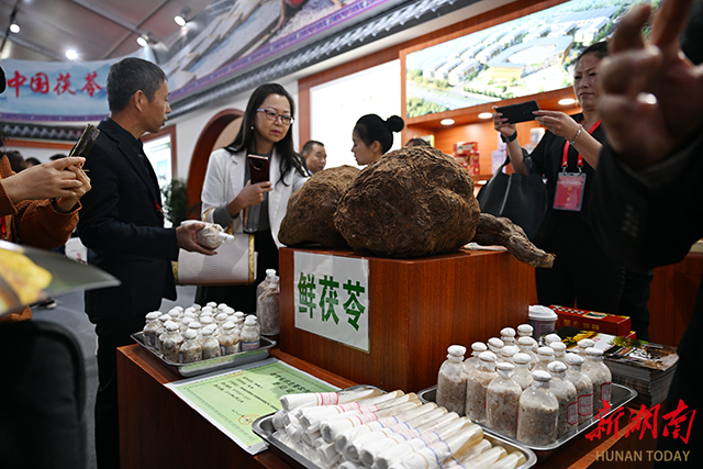 茯苓市场动态
