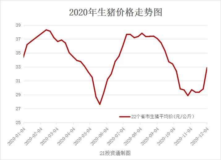 亳州生猪价格