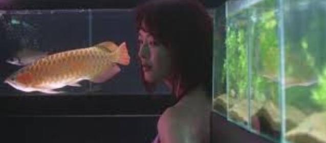 热带鱼电影