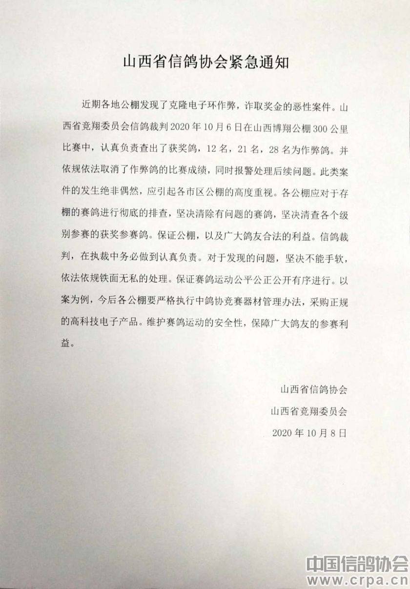 祁县信鸽协会最新动态