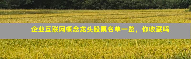 互联网龙头股票有哪些