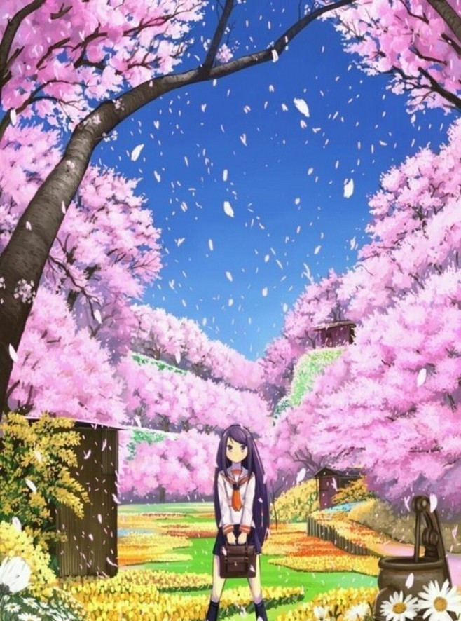 动漫樱花