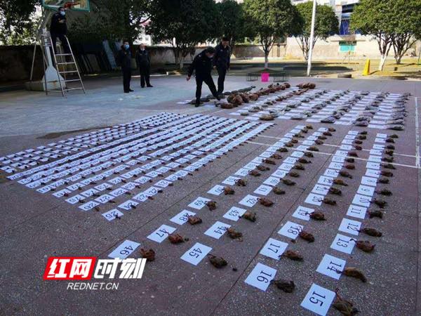 祁阳疫情动态