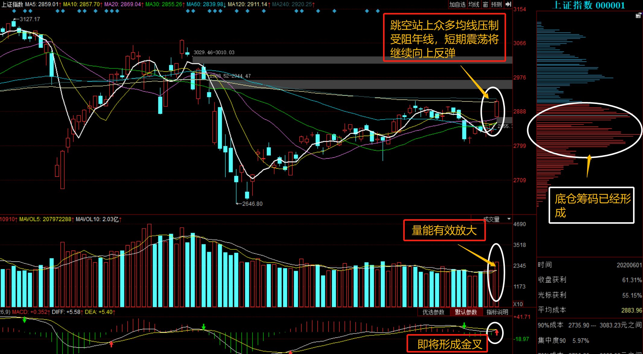 深度解析，603588股票行情全面剖析