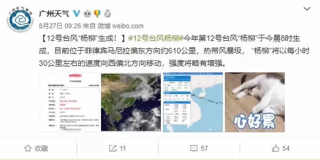 2025年第12号台风胚胎最新动态