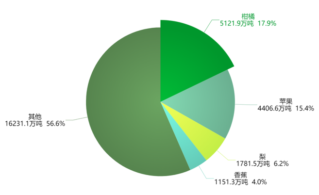 2025最新柑桔新品种