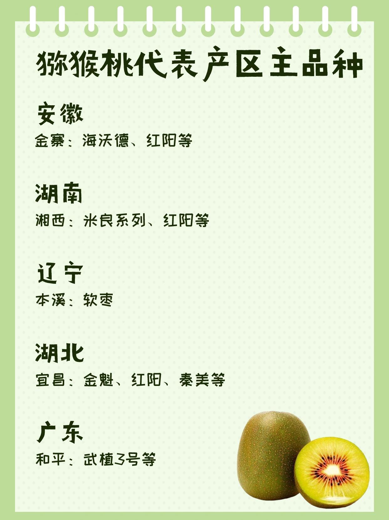2025软枣孑苗最新价格