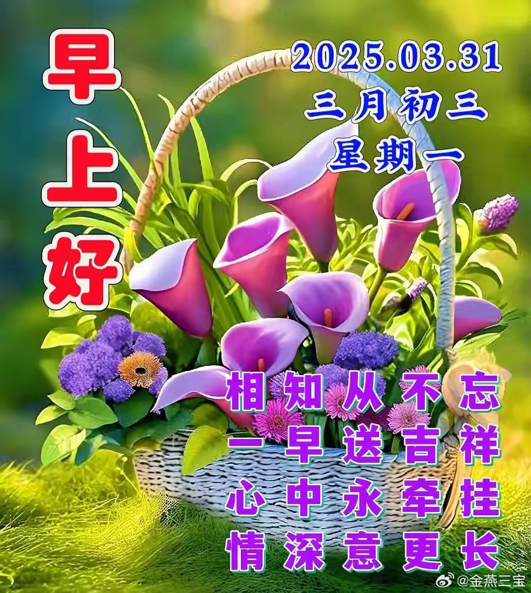 2025最新早上好视频