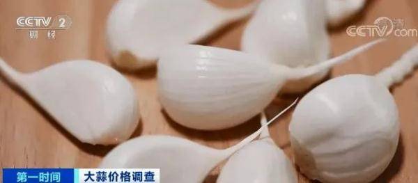 芦柞大蒜价格最新行情
